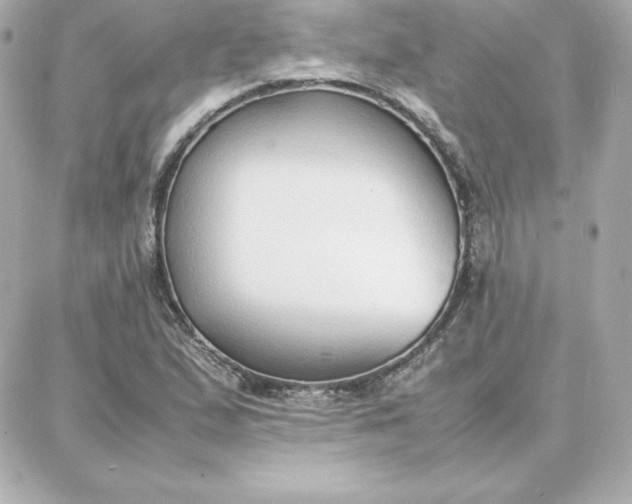 X0000087751167200705211030