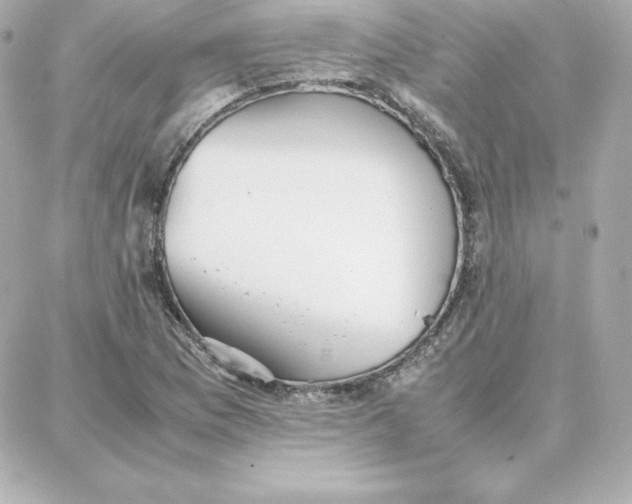 X0000087751169200705211030