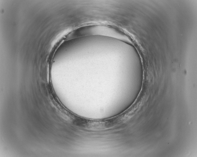 X0000087751171200705211030