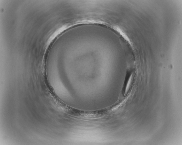 X0000087751173200705211030