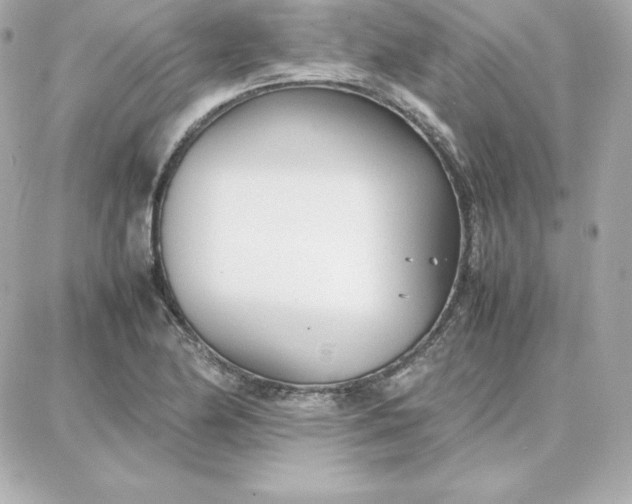 X0000087751174200705211030