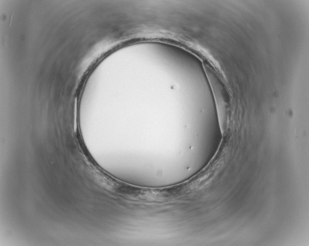 X0000087751175200705211030