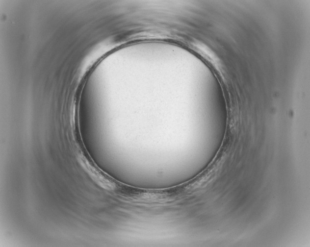 X0000087751179200705211030