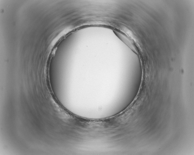 X0000087751181200705211030