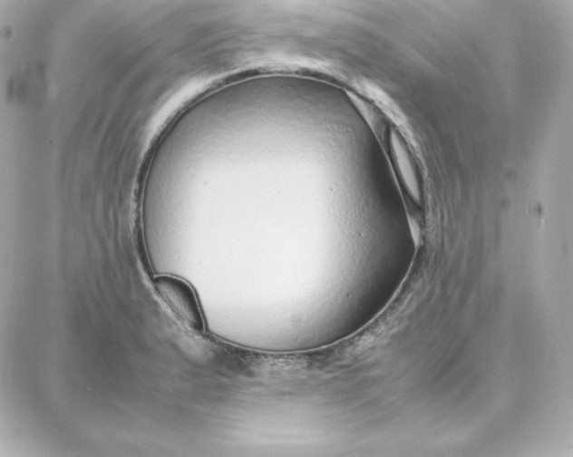 X0000087751183200705211030