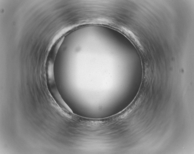 X0000087751184200705211030