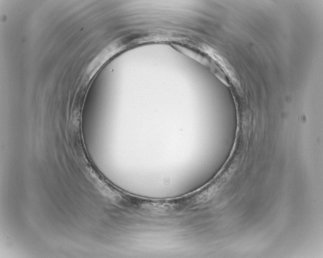 X0000087751185200705211030