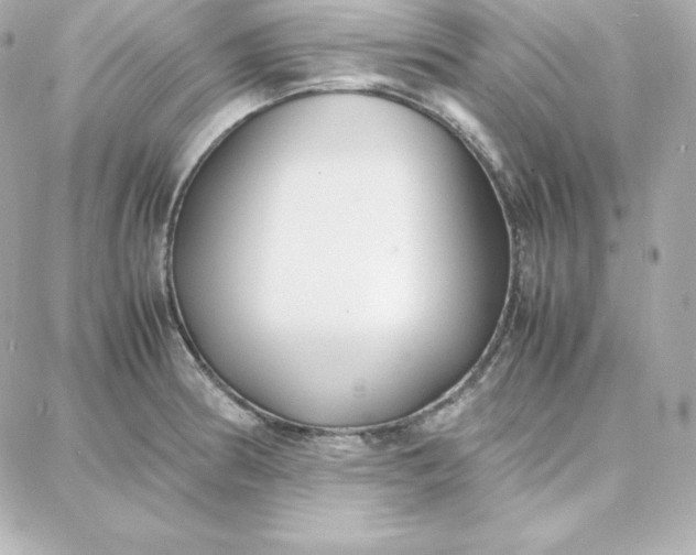 X0000087751186200705211030