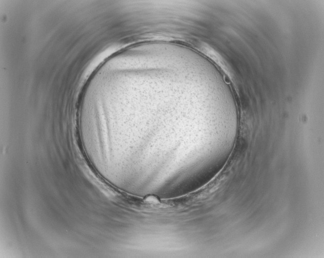 X0000087751187200705211029