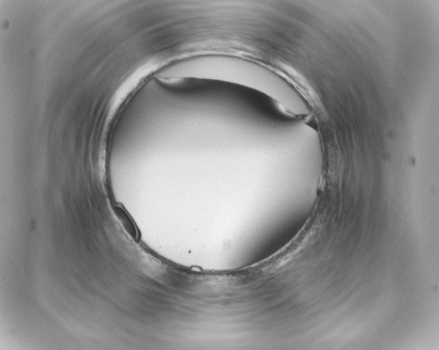 X0000087751188200705211029