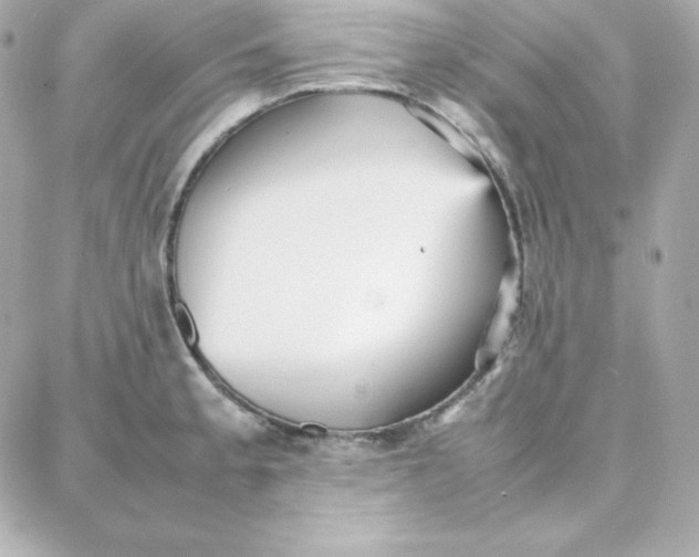 X0000087751189200705211029