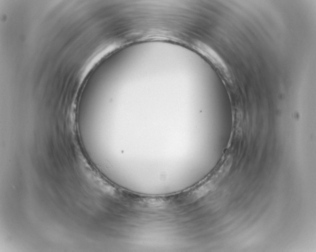 X0000087751190200705211029