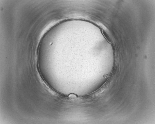 X0000087751191200705211029