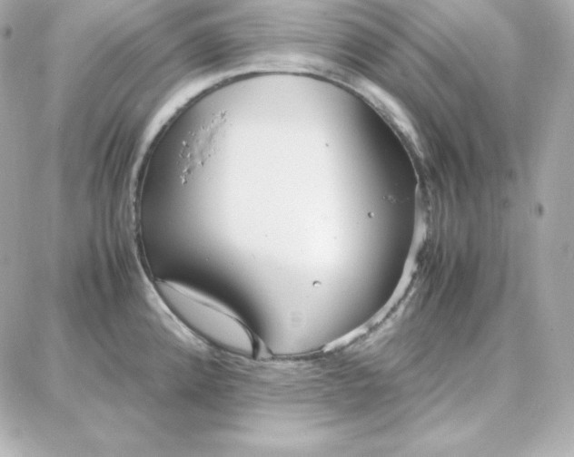 X0000087751192200705211029