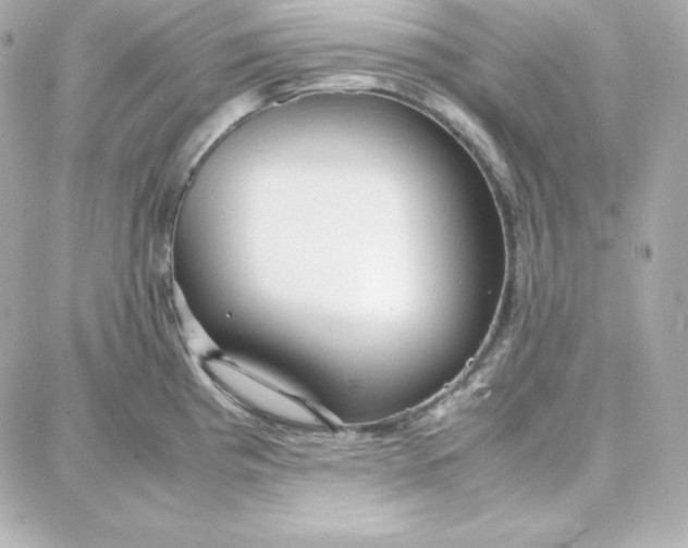 X0000087751193200705211029