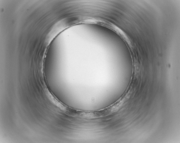 X0000087751194200705211029