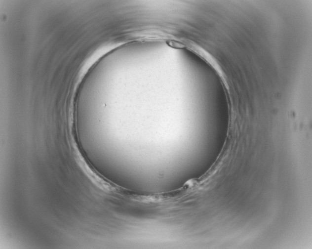 X0000087751195200705211029