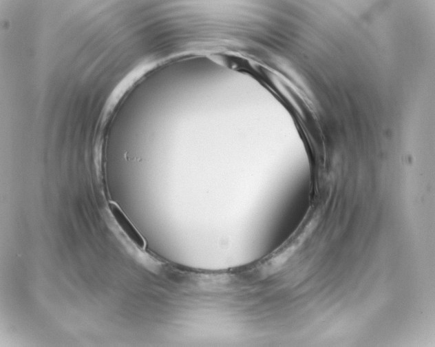 X0000087751196200705211029