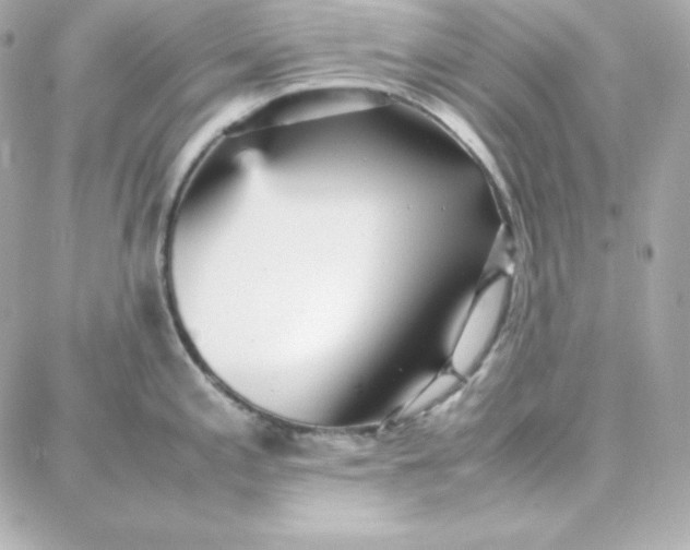 X0000087751197200705211029