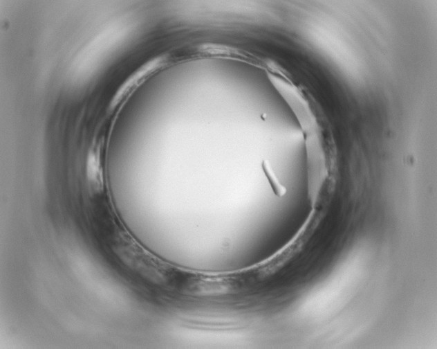 X0000087751198200705211029