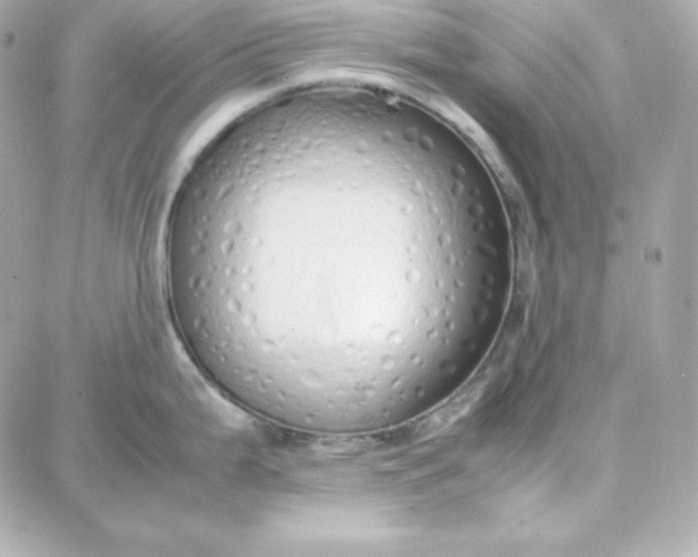 X0000087751199200705211029