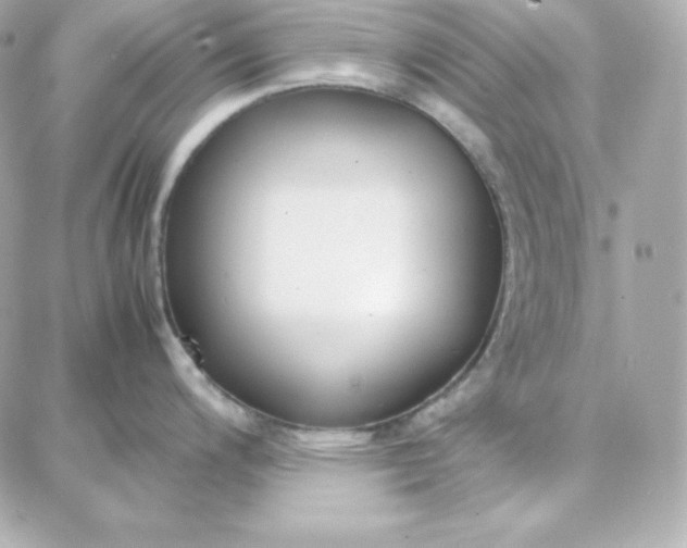 X0000087751200200705211029