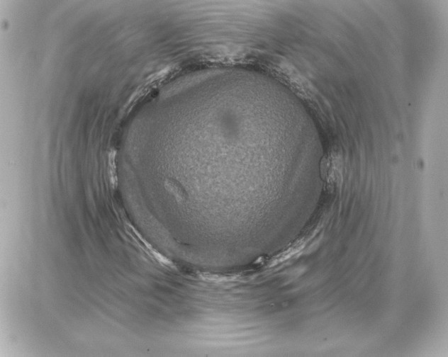 X0000087751202200705211029