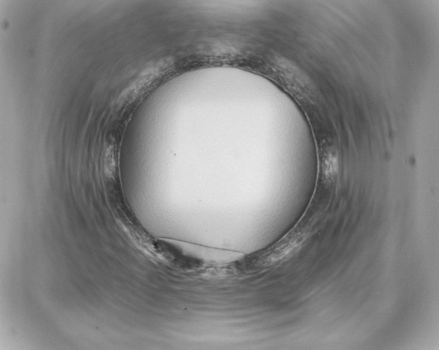 X0000087751204200705211029