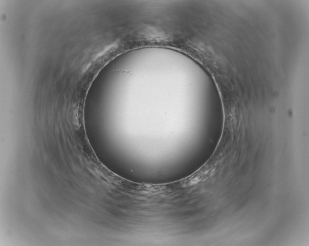 X0000087751205200705211029