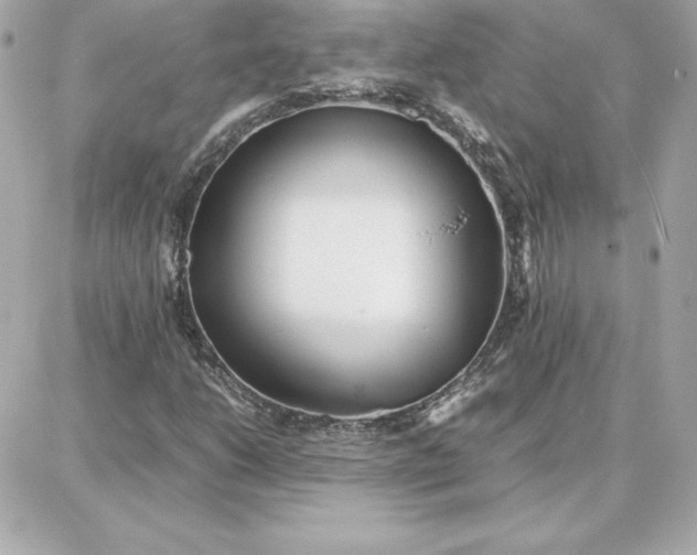 X0000087751206200705211029