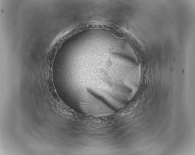 X0000087751207200705211029