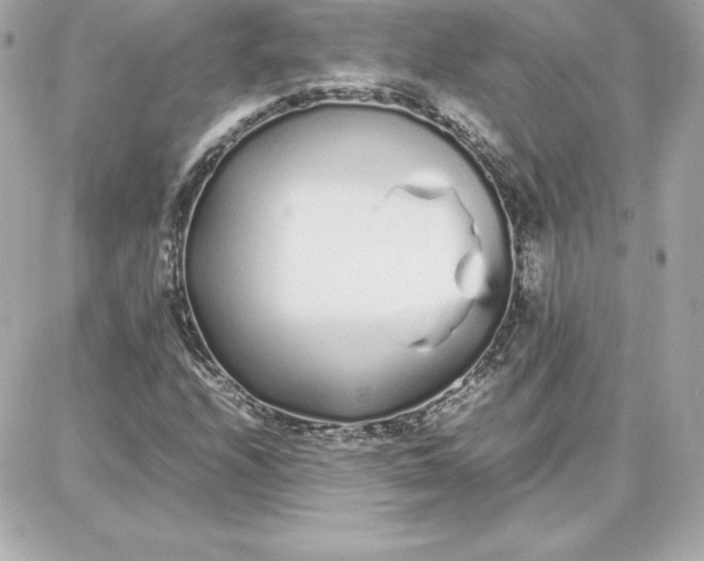 X0000087751208200705211029