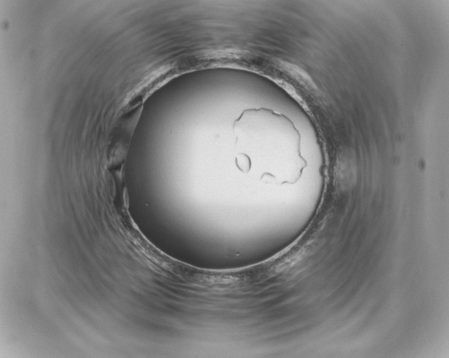 X0000087751209200705211029