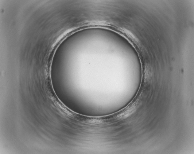 X0000087751212200705211029