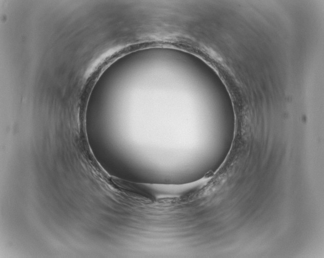 X0000087751214200705211029