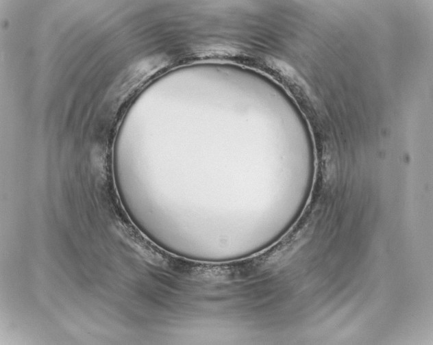 X0000087751217200705211029