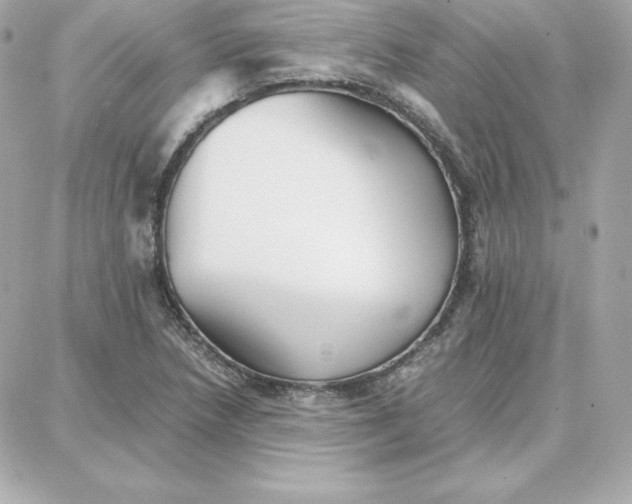 X0000087751218200705211029