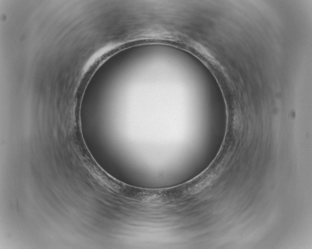 X0000087751222200705211029