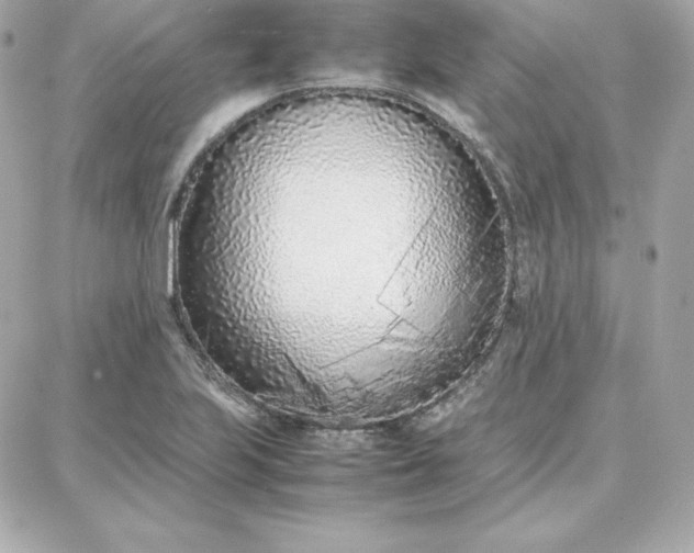 X0000087751223200705211029