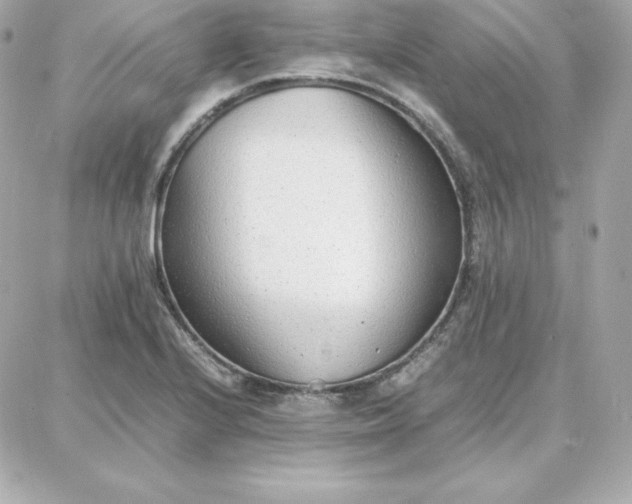 X0000087751224200705211029