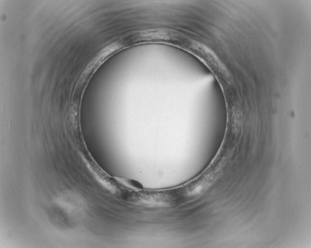 X0000087751225200705211029