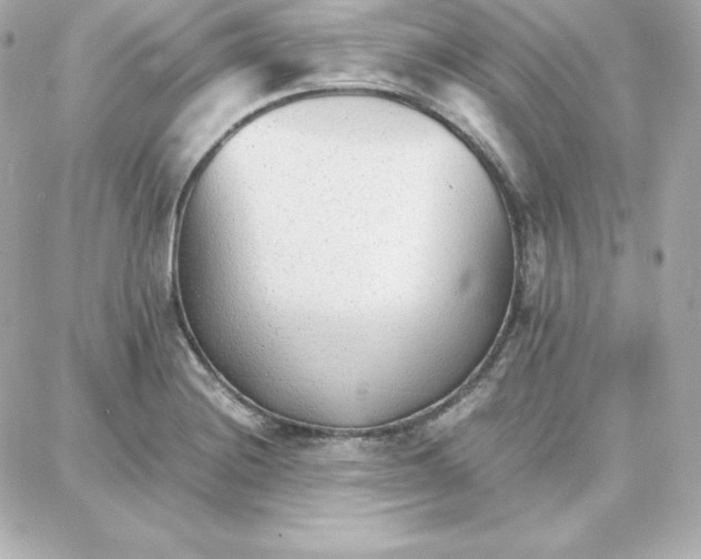 X0000087751228200705211029