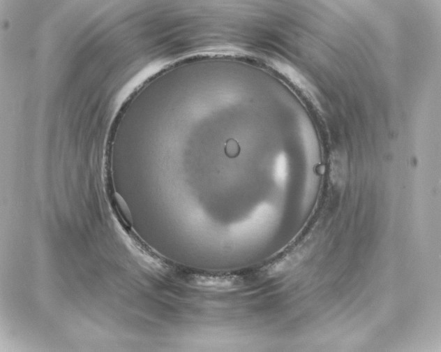 X0000087751229200705211029