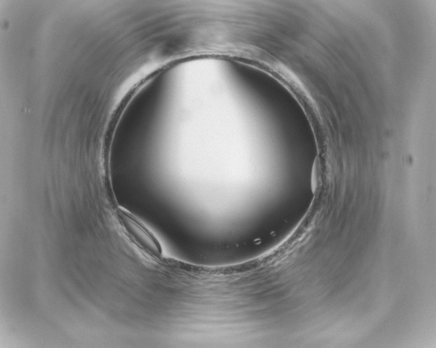 X0000087751230200705211029