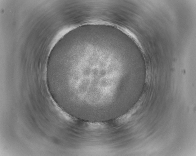 X0000087751231200705211029