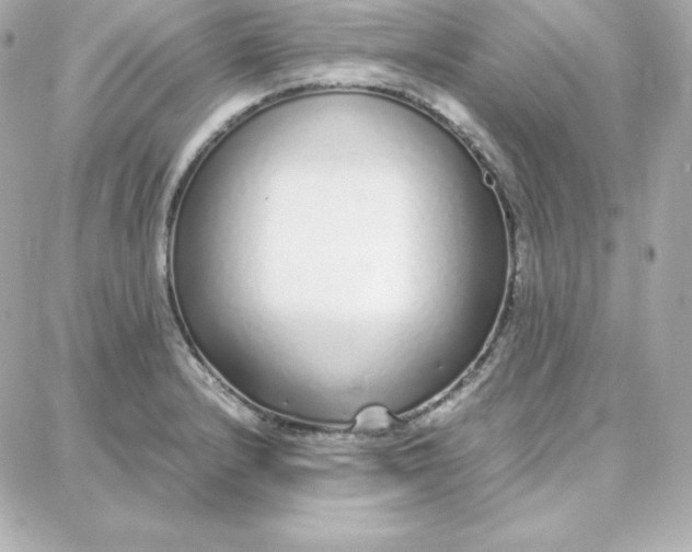 X0000087751232200705211029