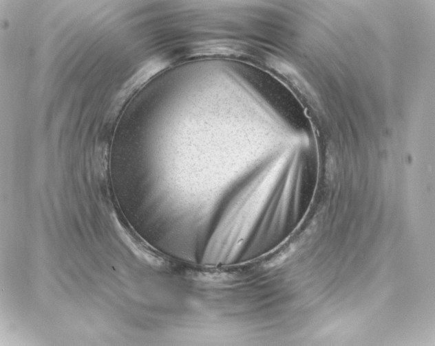 X0000087751233200705211029