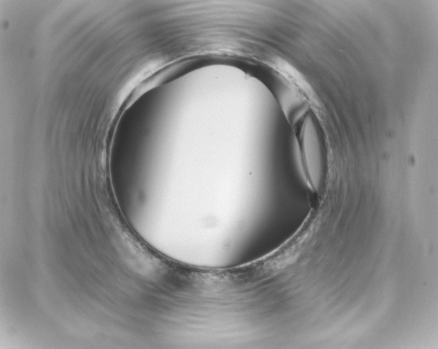 X0000087751234200705211029