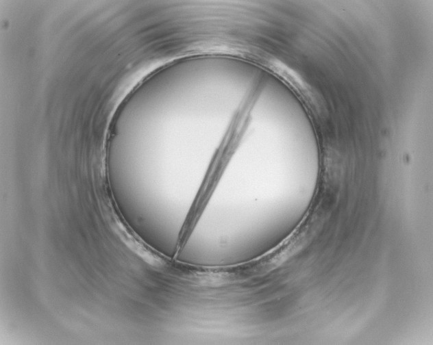 X0000087751236200705211029