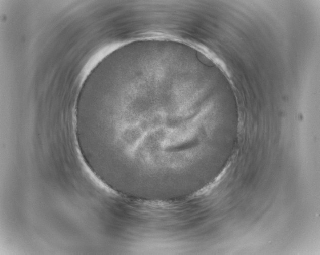 X0000087751239200705211029